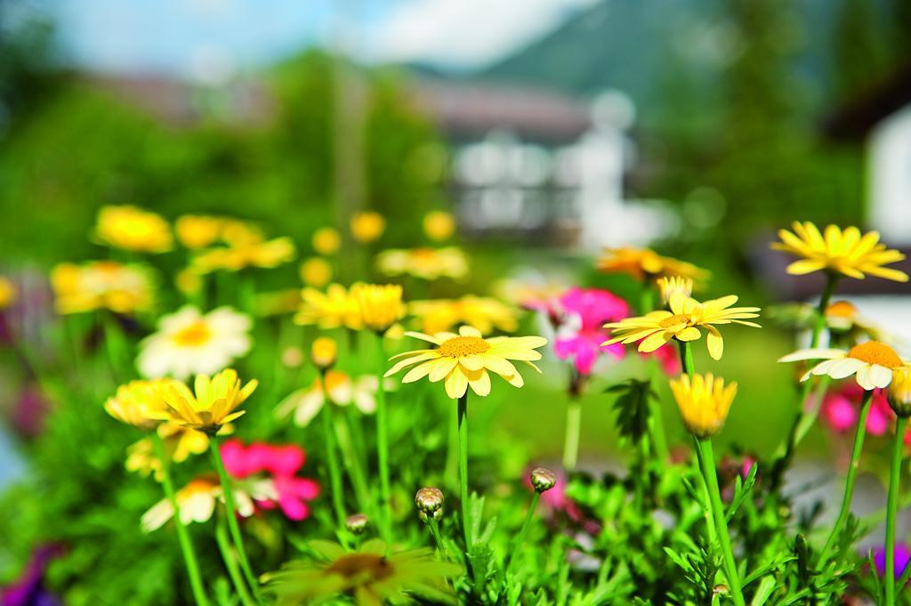 Hotel Parkhotel 4 Sterne Superior Alpenjuwel Mit Genuss, Golf & Wellness In Der Karwendel-region Tradition Trifft Eleganz Im Stilvollen Rueckzugsort